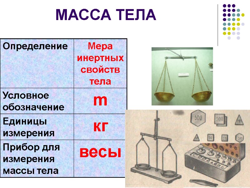МАССА ТЕЛА